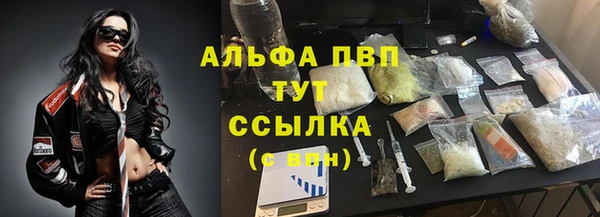 spice Богданович