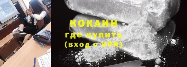 гидра Богородск