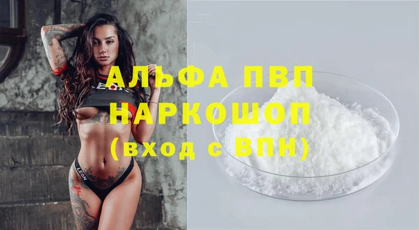 spice Богданович