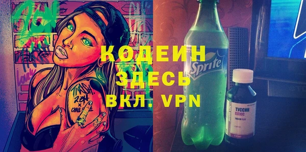 гидра Богородск