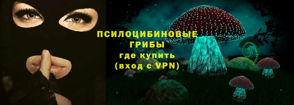 spice Богданович