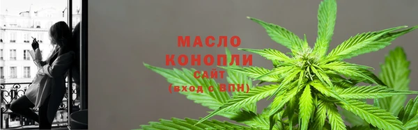 гидра Богородск
