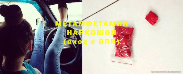 гидра Богородск