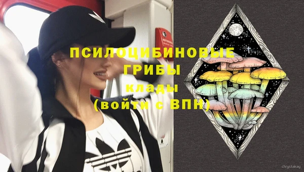 гидра Богородск