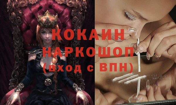 гидра Богородск