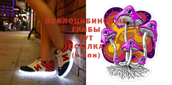 ГАЛЛЮЦИНОГЕННЫЕ ГРИБЫ Богородицк