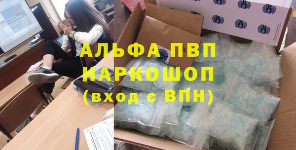 spice Богданович