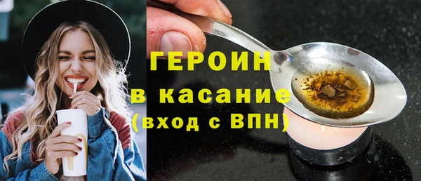 гидра Богородск