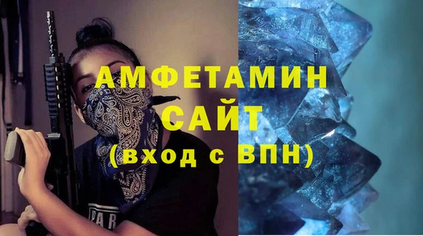гидра Богородск