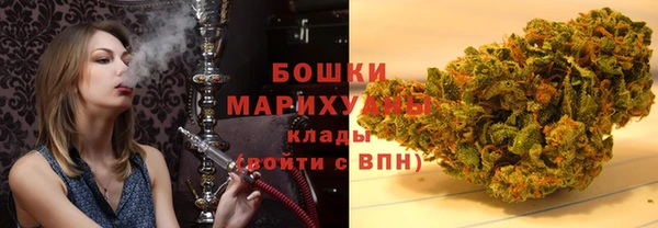гидра Богородск