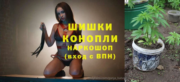 гидра Богородск