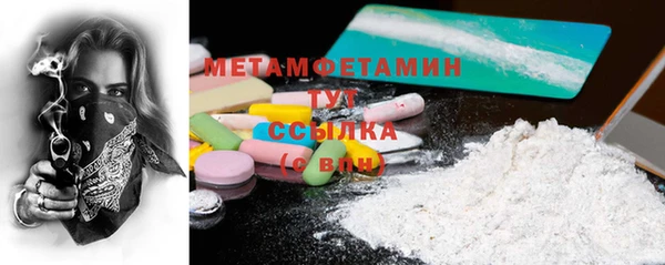 гидра Богородск
