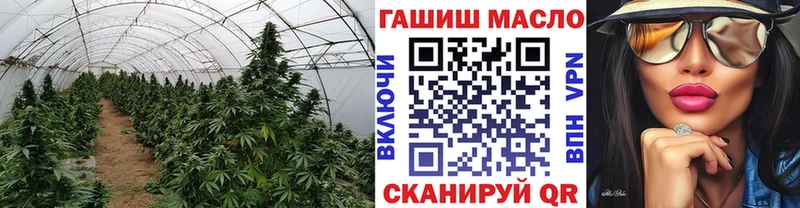 где можно купить   нарко площадка клад  kraken как зайти  ТГК вейп  Светлый 