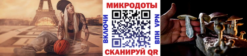 Псилоцибиновые грибы прущие грибы  магазин  наркотиков  Светлый 
